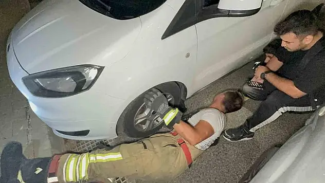 Araçlarda dolaşan kedi ekipleri uğraştırdı