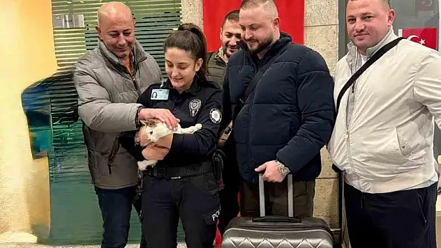 Araçta kilitli bırakılan kediyi polisler kurtardı