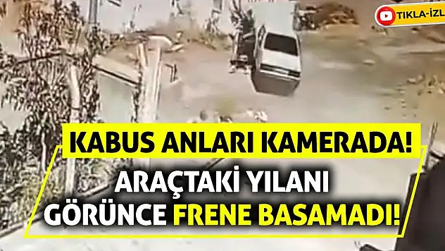 Araçtaki Yılanı Görünce Frene Basamadı! Kabus Anları Kamerada!