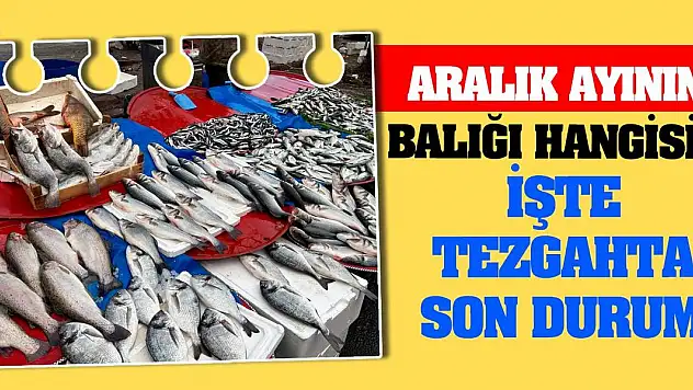 Aralık ayının balığı hangisi? İşte tezgahta son durum!