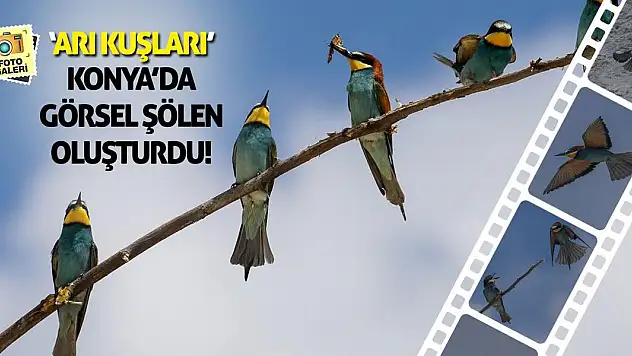 'Arı Kuşları' Konya'da Görsel Şölen Oluşturdu!