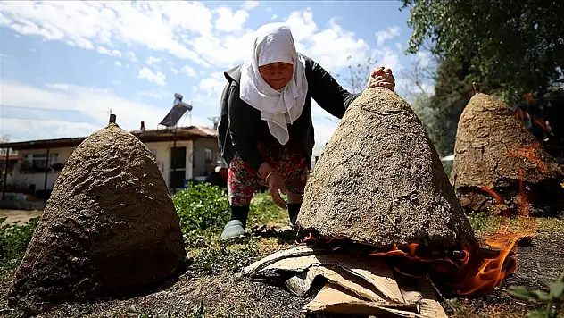 Arıcıların 'oğul alma' mesaisi başladı
