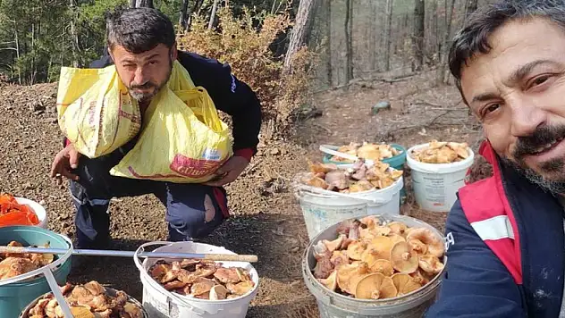 Arkadaşları alay etmişti. İnat etti başardı! Şimdi saatte 5 bin lira para kazanıyor