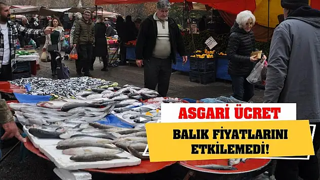 Asgari Ücret Balık Fiyatlarını Etkilemedi!