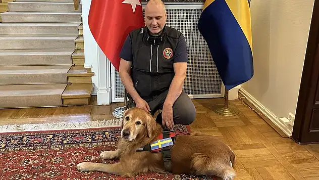Asrın felaketinde 18 kişiyi kurtaran kahraman köpek hayatını kaybetti