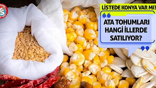 Ata Tohumları Hangi İllerde Satılıyor? Listede Konya Var mı?