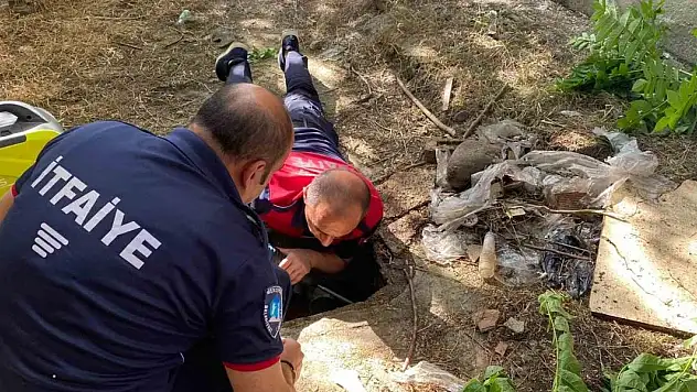 Atık su borusunda mahsur kalan yavru köpekleri itfaiyeciler kurtardı