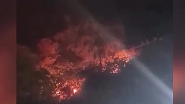 Attıkları havai fişek yangın çıkardı: 4 gözaltı!