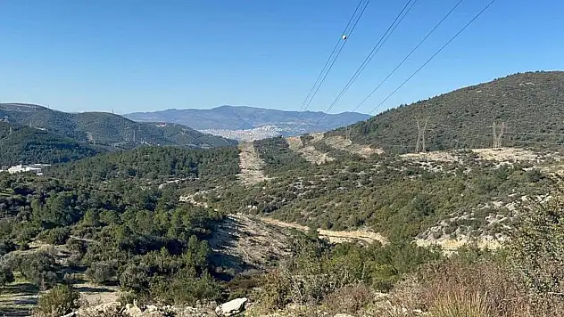 Avda kazara oğlunu öldüren baba adli kontrolle serbest bırakıldı