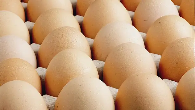 Avrupa'daki kuş gribi, Türk yumurtası talebini artırdı