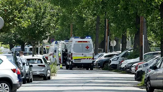 Avusturya'da okul saldırısı: En az 8 ölü