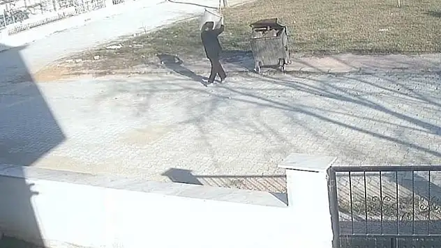 Ayaklarını bağladığı köpeği çöp konteynerine attı o anlar kamerada