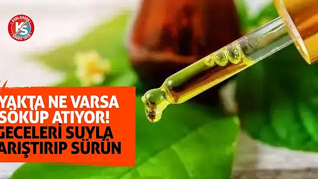 Ayakta ne varsa söküp atıyor! Geceleri suyla karıştırıp sürün