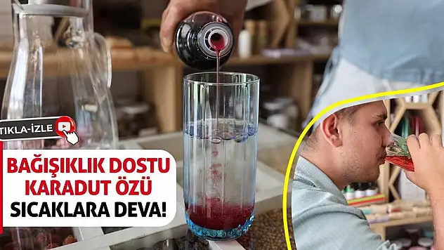 Bağışıklık Dostu Karadut Özü Sıcaklara Deva!