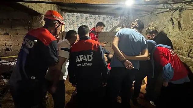 'Bahçeyi sulamaya gidiyorum' dedi, ahırda ölü bulundu