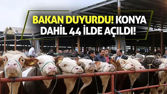 Bakan duyurdu! Konya dahil 44 ilde açıldı!
