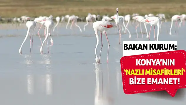 Bakan Kurum: Konya'nın 'Nazlı Misafirleri' Bize Emanet!