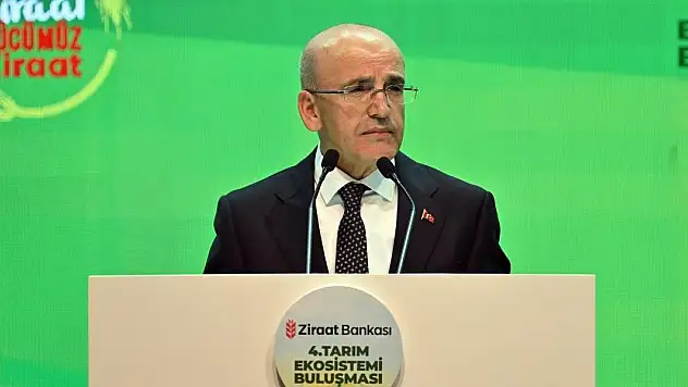 Bakan Şimşek: Evlerde kullanılan elektriğin yüzde 55'ini, doğal gazın yüzde 65'ini devlet sübvanse ediyor