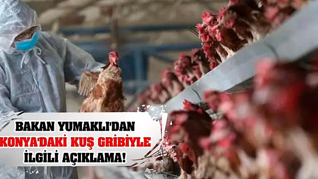 Bakan Yumaklı'dan Konya'daki Kuş Gribiyle İlgili Açıklama!