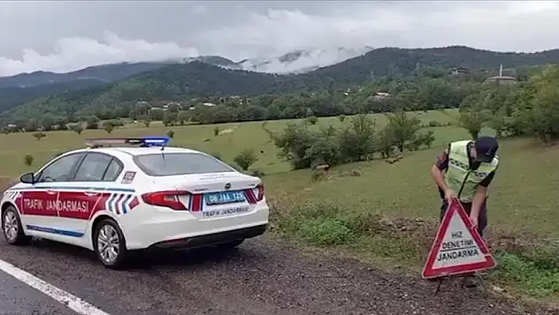 Bakanı Yerlikaya, motosiklet kazalarıyla ilgili verileri açıkladı