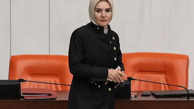 Bakanlıklarının 2025 yılı bütçeleri TBMM Genel Kurulunda