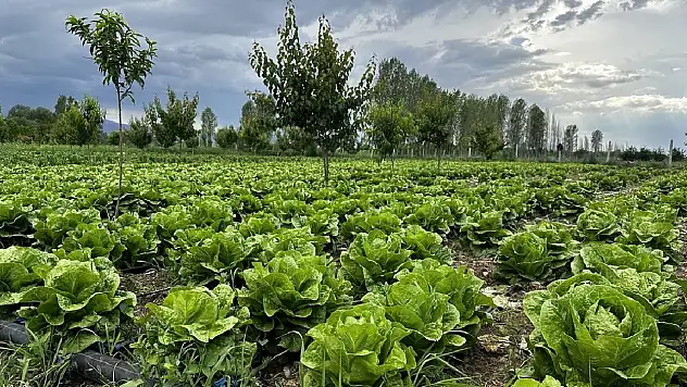 Bakanlıktan 'akıllı tarım' odaklı projelere hibe desteği