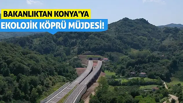Bakanlıktan Konya'ya Ekolojik Köprü Müjdesi!