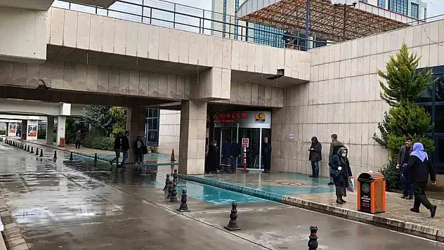 Bal arısının soktuğu adam komaya girdi