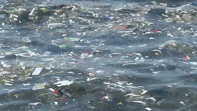 Balık ölümleri sürüyor!