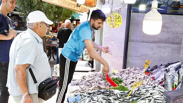 Balık tezgahlarında bolluk yaşanıyor