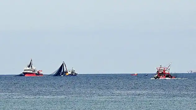 Balıkçılar palamut avı için rotayı Doğu Karadeniz'e çevirdi