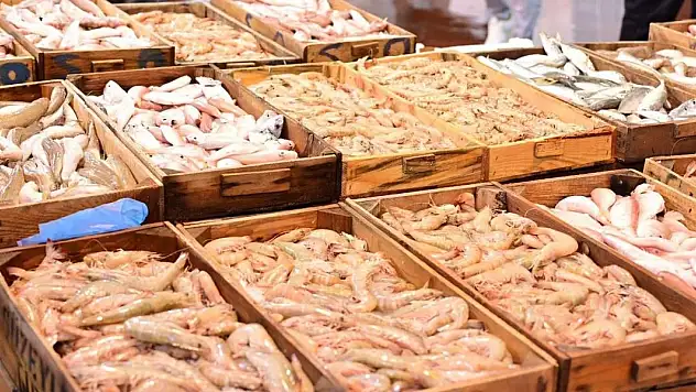 Balıkçılar 'vira bismillah' diyerek sezonu açtı