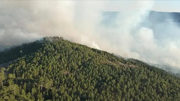 Balıkesir'de çıkan orman yangınına müdahale sürüyor