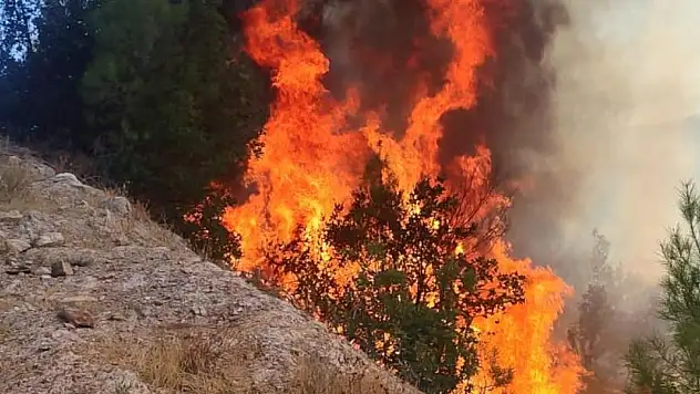 Balıkesir'de orman yangını