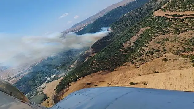 Balıkesir'de orman yangını