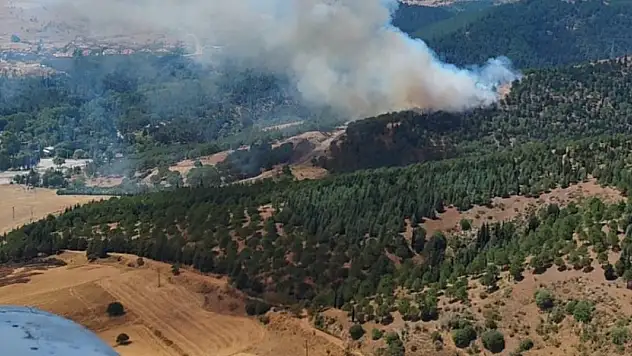 Balıkesir'de ormanlık alanda çıkan yangın kontrol altına alındı