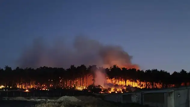 Balıkesir'deki orman yangınıyla ilgili 2 tutuklama