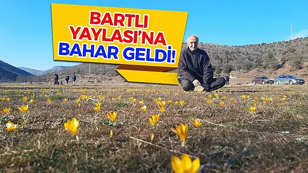 Bartlı Yaylası'na bahar geldi!