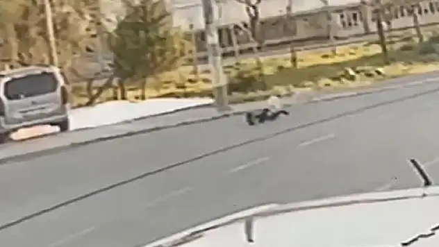Başıboş köpekler yine bir çocuğa saldırdı