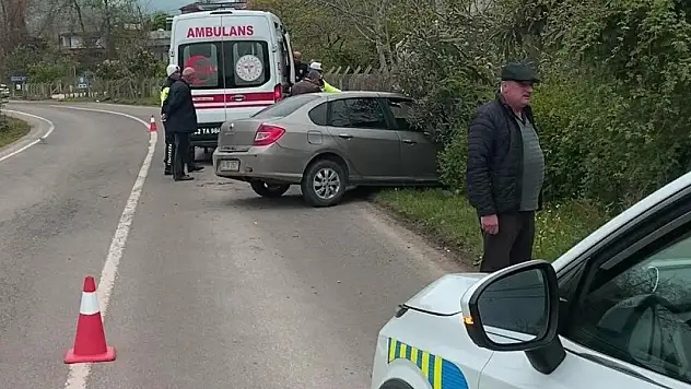 Başıboş köpeklere çarpmamak için kaza yaptı: 2 yaralı