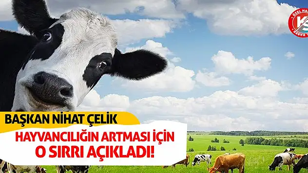Başkan Çelik, hayvancılığın artması için sihirli çözümü açıkladı!