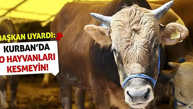 Başkan Uyardı: Kurban'da O Hayvanları Kesmeyin!