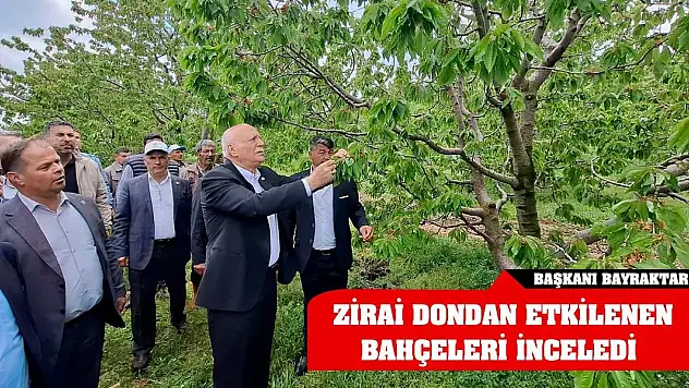 Başkanı Bayraktar zirai dondan etkilenen bahçeleri inceledi