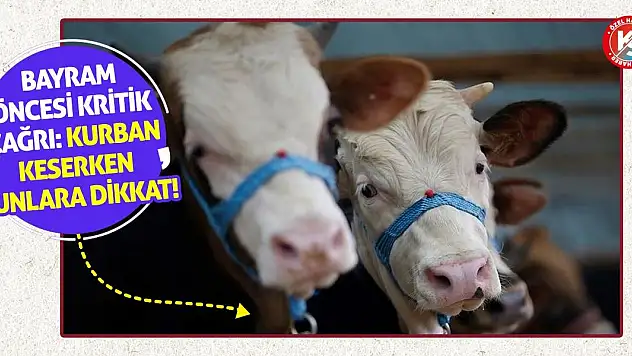 Bayram Öncesi Kritik Çağrı: Kurban Keserken Bunlara Dikkat!