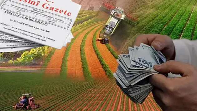 Beklenen haber geldi! Hazine'den 300 bin TL'ye kadar borç kapatma desteği!