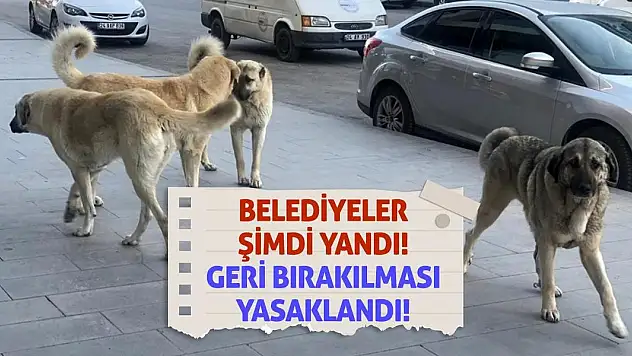 Belediyeler Şimdi Yandı! Geri Bırakılması Yasaklandı!