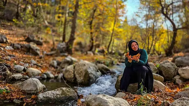 Belemedik, sonbaharda renk cümbüşüne büründü