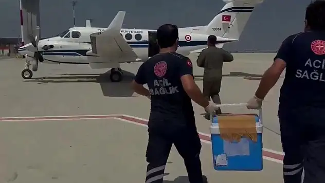 Beyin ölümü gerçekleşen gencin organları 2 kişiye umut oldu
