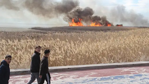 Beyşehir Gölü Milli Parkında sazlık alanda yangın