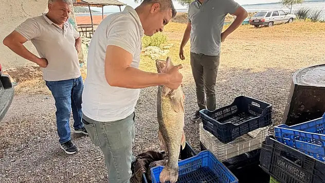 Beyşehir Gölü'nde sıkı denetim! Balıklar tek tek kontrol edildi